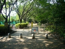 【東京都/世田谷区池尻】グレンパーク駒場 駒場野公園（現地より約400m）