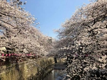 【東京都/目黒区青葉台】ソプラタワー  目黒川（現地より約280m）