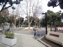 【東京都/世田谷区若林】パラスト若林公園 若林公園（現地より約20m）