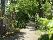 【東京都/江東区東雲】Wコンフォートタワーズ EAST棟 東雲緑道公園（現地より約500m）