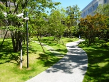 【東京都/江東区豊洲】THE TOYOSU TOWER 敷地内