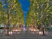 【東京都/江東区豊洲】ブランズタワー豊洲 敷地内