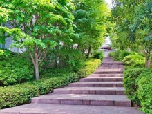 【東京都/港区赤坂】サイオン桜坂　SAION SAKURAZAKA アプローチ