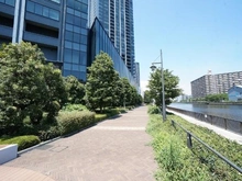 【東京都/江東区豊洲】シティタワーズ豊洲ザ・ツイン　サウスタワー 敷地内