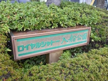 【神奈川県/横浜市鶴見区朝日町】ロイヤルシャトー入船公園 マンション表札