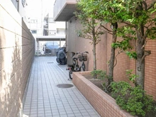 【神奈川県/川崎市川崎区池上新町】シテラ川崎クリスタルパティオ 外観：駐輪場に向かう通路