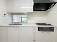 【神奈川県/川崎市幸区塚越】矢向ハイライズ キッチン