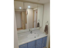 【神奈川県/川崎市川崎区田町】グロス・ヴュー・スクエアアルタイムIV 洗面所