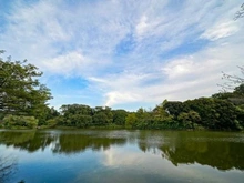 【神奈川県/横浜市鶴見区鶴見中央】ロイヤルタワー横濱鶴見 県立三ツ池公園（現地より約2,850m）：