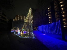 【神奈川県/川崎市川崎区中瀬】フォレシアムブライトハウス 敷地内：敷地内のガーデン