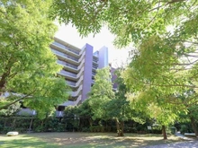 【神奈川県/川崎市川崎区中瀬】フォレシアムブライトハウス 敷地内