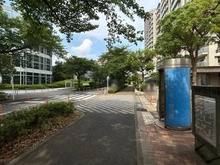 【神奈川県/川崎市幸区小倉】パークシティ新川崎西三番街 D棟 敷地内