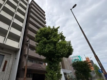 【神奈川県/川崎市川崎区元木】プレジャー・ガーデン川崎 外観