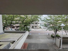 【神奈川県/横浜市鶴見区鶴見中央】グリーンコーポ鶴見 眺望：洋室側サービスバルコニーから