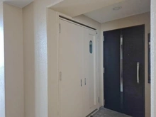 【神奈川県/川崎市川崎区田町】グロスヴュースクエアアルタイムIV 玄関