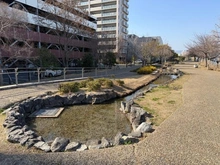 【大阪府/摂津市南千里丘】パークタワー南千里丘 敷地内のお庭