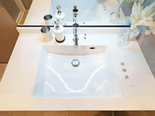 【東京都/世田谷区玉川台】ファミールグラン用賀イクスヴィア 洗面室