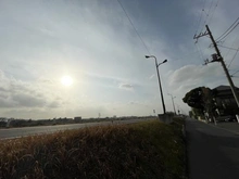 【東京都/世田谷区玉堤】ハイネス尾山台 前面道路