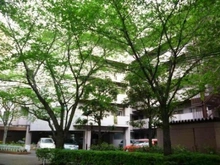 【東京都/品川区小山台】小山台サニーハイツ 敷地内