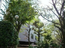 【東京都/品川区小山台】小山台サニーハイツ 敷地内