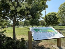 【東京都/品川区東大井】東京ナイル 鮫洲入江広場（現地より約70m）