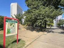 【東京都/品川区東大井】東京ナイル  鮫洲運動公園（現地より約270m）