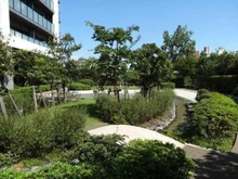 【東京都/品川区東大井】クレストタワー品川シーサイド 敷地内