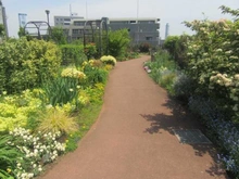 【東京都/品川区東品川】ラグナタワー  東品川海上公園（現地より約70m）