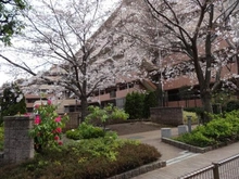 【東京都/品川区二葉】シャールレーク大井桜通り 外観