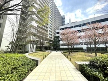 【東京都/品川区東品川】品川シーサイドレジデンス アプローチ