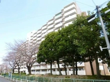【東京都/中野区上高田】上高田四丁目団地 一号棟 外観