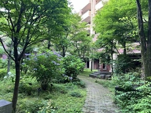 【東京都/中野区中央】ファミールスクエア中野坂上 敷地内