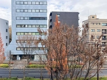 【東京都/中野区東中野】グリーンコーポ東中野 眺望：バルコニーから