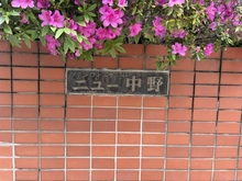 【東京都/中野区新井】パシフィックニュー中野 マンション表札