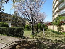 【東京都/杉並区和田】富士見ハイムN棟 中庭