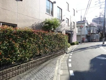 【東京都/杉並区和田】ベルアルシェ東高円寺 前面道路