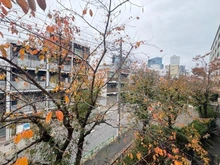 【東京都/中野区中央】中野坂上パーク・ホームズ 眺望