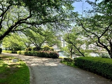 【東京都/中央区佃】ファミール月島グランスイートタワー 中央区立佃公園（現地より約400m）：