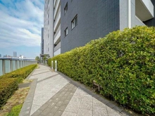 【東京都/中央区晴海】ザ・晴海レジデンス 敷地内