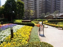 【東京都/中央区佃】シティフロントタワー 敷地内