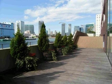 【東京都/中央区勝どき】コスモ東京ベイタワー 敷地内