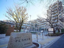 【東京都/品川区西五反田】ルフォン不動前  かむろ坂公園（現地より約10m）
