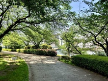 【東京都/中央区佃】センチュリーパークタワー  佃公園（現地より約200m）