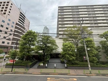 【東京都/中央区月島】 ウィルローズ月島 眺望：春には桜が咲きます