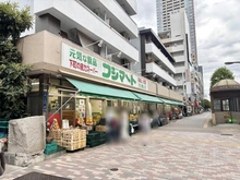 【東京都/中央区月島】 ウィルローズ月島 フジマート月島店（現地より約350m）
