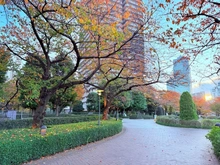 【東京都/中央区佃】スカイライトタワー 敷地内