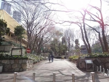 【東京都/新宿区西新宿】東建ニューハイツ西新宿  新宿中央公園（現地より約80m）：