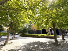 【東京都/港区西麻布】ザ・パークハウス西麻布レジデンス アプローチ