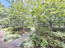 【東京都/港区白金】グランドメゾン白金の杜 ザ・タワー 敷地内