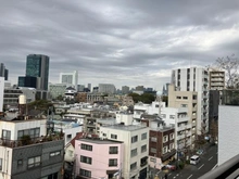 【東京都/渋谷区広尾】イトーピア広尾ヒルズクローチェ 眺望